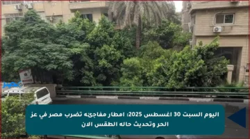 اليوم السبت 30 أغسطس 2025: أمطار مفاجئة تضرب مصر في عز الحر وتحديث حالة الطقس الآن